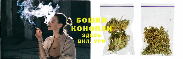 mdpv Козловка