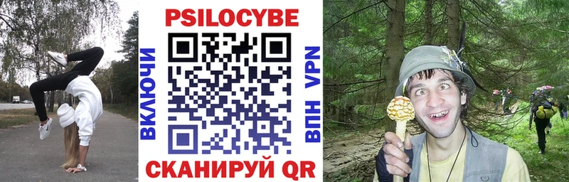 Псилоцибиновые грибы MAGIC MUSHROOMS  Купить где  Вязники 